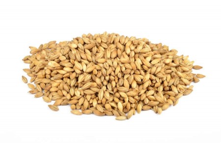 Le malt