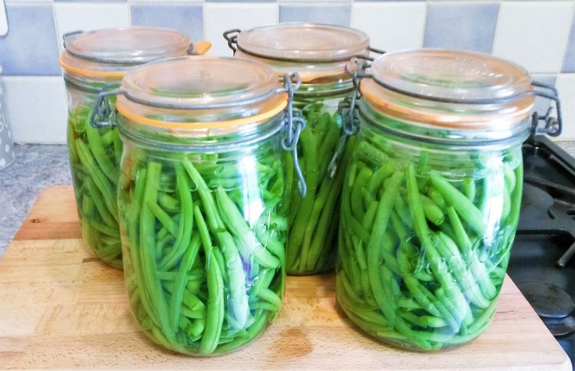 Comment bien stériliser ses haricots verts ?